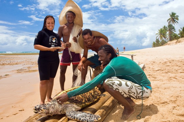 Equipe do <strong>Tamar</strong> e pescadores locais fazendo medições em uma<strong> tartaruga-de-pente</strong> (<em>Eretmochelys imbricata</em>)