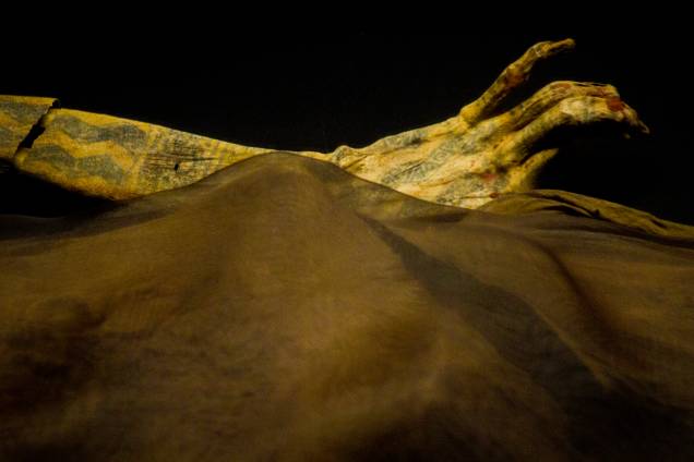 Detalhe das tatuagens na pele ainda intacta da Dama de Cao, no complexo arqueológico El Brujo Detalhe das tatuagens na pele ainda intacta da Dama de Cao, no complexo arqueológico El Brujo