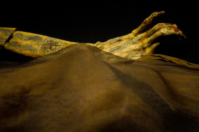 Detalhe das tatuagens na pele ainda intacta da Dama de Cao, no complexo arqueológico El Brujo