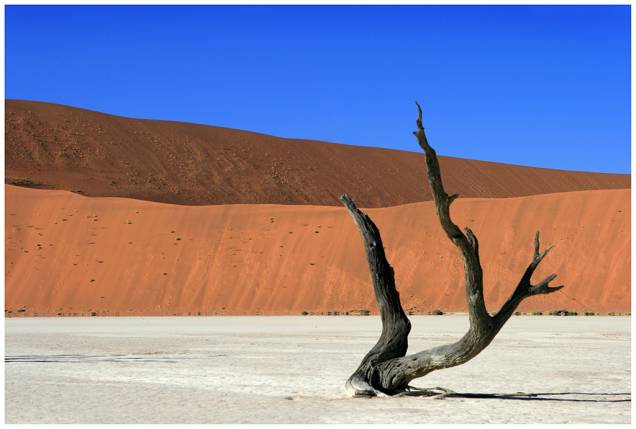 <a href="http://tgk.tur.br" rel="TGK" target="_blank"><strong>TGK</strong></a>         <strong>O QUE ELA FAZ POR VOCÊ:</strong> Explora partes pouco turísticas do mundo, como a Namíbia.        <strong>PACOTE: </strong>No oeste da <a href="http://viajeaqui.abril.com.br/continentes/africa" rel="África" target="_blank">África</a>, a Namíbia resguarda rica fauna e flora, como o quase extinto rinoceronte-negro e o raríssimo elefante do deserto. São oito noites visitando parques nacionais, tribos e os principais centros do país, passando por Windhoek, a capital, pelo Parque Nacional Etosha, pelo sítio arqueológico de Twyfelfontein e pela litorânea Swakopmund. Há também uma noite em <a href="http://viajeaqui.abril.com.br/cidades/africa-do-sul-johannesburgo" rel="Johannesburgo" target="_blank">Johannesburgo</a>, na volta. Desde US$ 3 830.