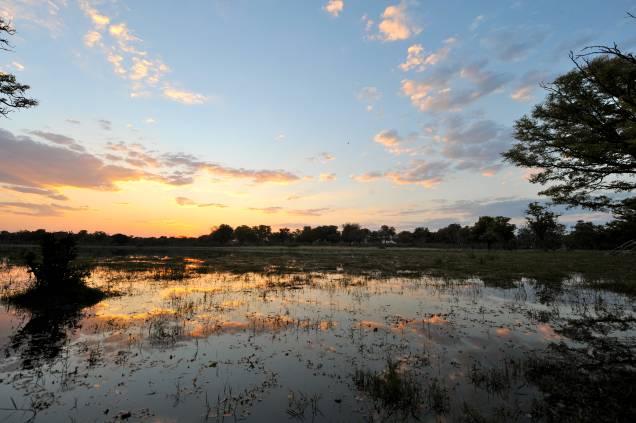 Por do sol no delta do Okavango, Botsuana, África