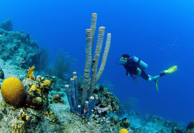 Curaçao conta com dezenas de pontos de mergulho, sempre servidos por agências especializadas