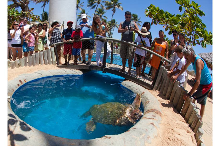 Centro de Visitantes do<strong> <a href="https://viajeaqui.abril.com.br/estabelecimentos/br-ba-praia-do-forte-atracao-projeto-tamar" rel="Projeto Tamar" target="_blank">Projeto Tamar</a> </strong>na <a href="https://viajeaqui.abril.com.br/cidades/br-ba-praia-do-forte" rel="Praia do Forte" target="_blank">Praia do Forte</a>, <a href="https://viajeaqui.abril.com.br/estados/br-bahia" rel="Bahia" target="_blank">Bahia</a>