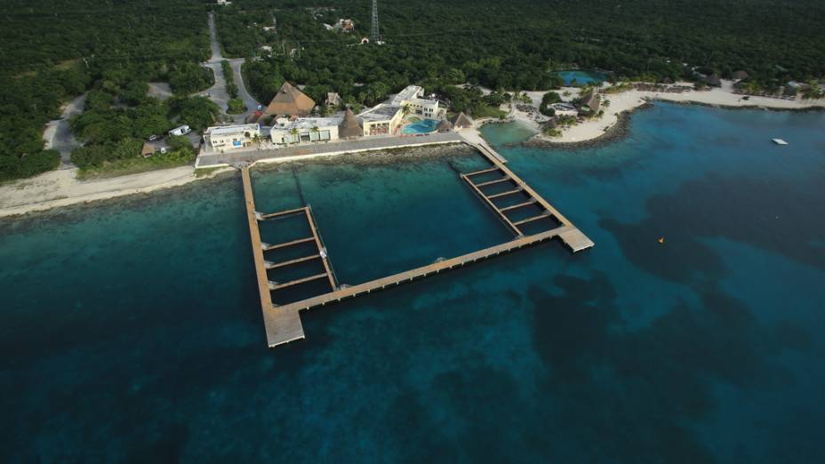Tanque de golfinhos do Dolphin Discovery de Cozumel Tanque de golfinhos do Dolphin Discovery de Cozumel