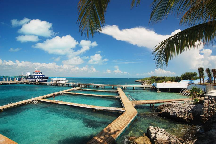 Tanques de mergulho com golfinhos no Dolphin Discovery de Isla Mujeres Tanques de mergulho com golfinhos no Dolphin Discovery de Isla Mujeres