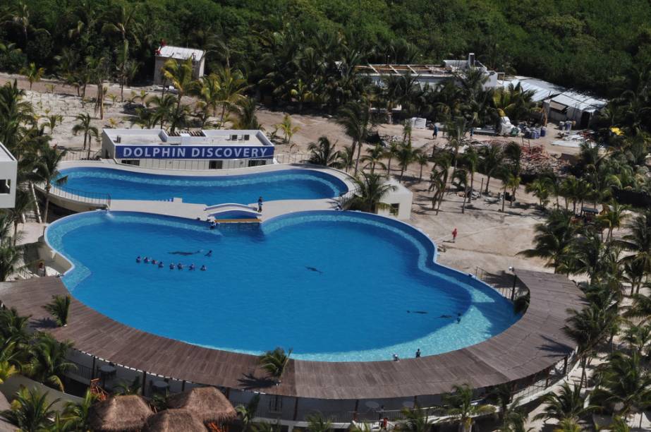 Tanques de mergulho do Dolphin Discovery de Playa del Carmen Tanques de mergulho do Dolphin Discovery de Playa del Carmen