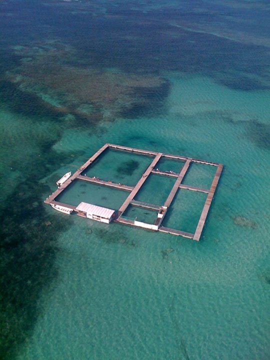 Vista aérea das "piscinas" do Dolphin Island Park