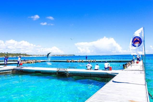 A "piscina" do Dolphin Island Park A "piscina" do Dolphin Island Park