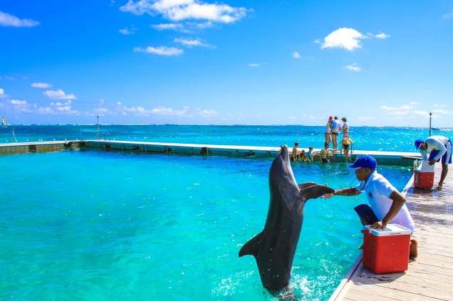 Dolphin Island Park, em Bávaro, ao norte de Punta Cana