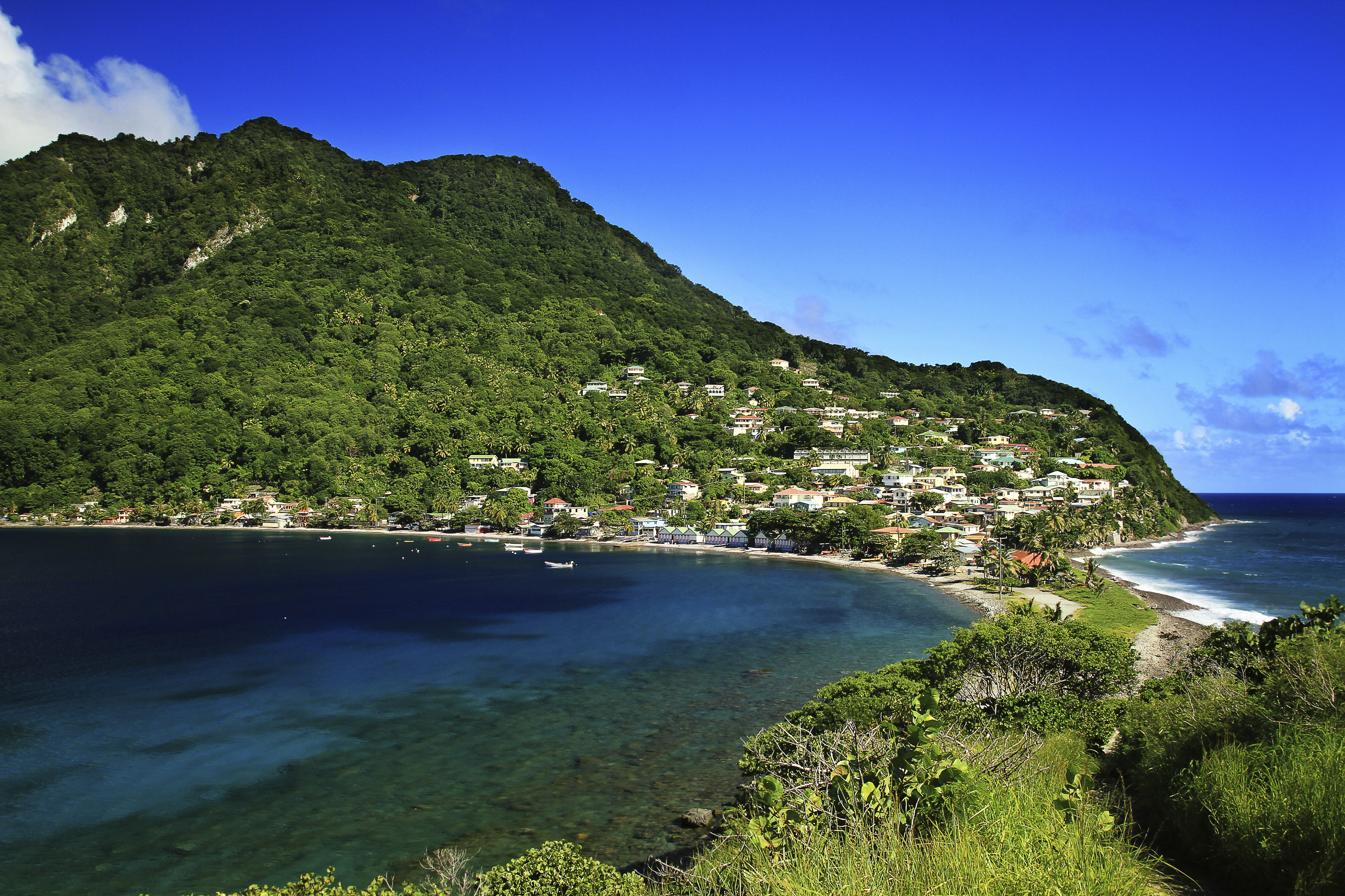 Dominica istock