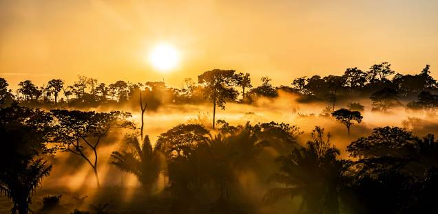 <strong>4. Parque Nacional da Serra do Divisor</strong> Longe de tudo e de acesso dificílimo, o Parque Nacional da Serra do Divisor na fronteira do <a href="https://viajeaqui.abril.com.br/estados/br-acre" rel="Acre" target="_blank">Acre</a> com o <a href="https://viajeaqui.abril.com.br/paises/peru" rel="Peru" target="_blank">Peru</a>, é um daqueles lugares que parecem segredos muito bem guardados. A cidade mais próxima, Cruzeiro do Sul, no Acre, fica a dois dias de barco. Graças a esse isolamento, o local é um dos mais preservados da Amazônia, com a maior biodiversidade da região. O parque, por razões óbvias, não é aberto ao público. “Estive lá a convite da Secretaria de Comunicação do Acre para produzir uma série de reportagens no estado, incluindo a Serra do Divisor”, conta Dib <strong>4. Parque Nacional da Serra do Divisor</strong> Longe de tudo e de acesso dificílimo, o Parque Nacional da Serra do Divisor na fronteira do <a href="https://viajeaqui.abril.com.br/estados/br-acre" rel="Acre" target="_blank">Acre</a> com o <a href="https://viajeaqui.abril.com.br/paises/peru" rel="Peru" target="_blank">Peru</a>, é um daqueles lugares que parecem segredos muito bem guardados. A cidade mais próxima, Cruzeiro do Sul, no Acre, fica a dois dias de barco. Graças a esse isolamento, o local é um dos mais preservados da Amazônia, com a maior biodiversidade da região. O parque, por razões óbvias, não é aberto ao público. “Estive lá a convite da Secretaria de Comunicação do Acre para produzir uma série de reportagens no estado, incluindo a Serra do Divisor”, conta Dib