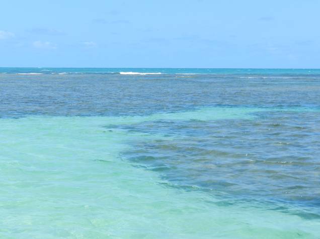 Durante a navegação até as piscinas é difícil escolher entre olhar para a praia deslumbrante com seu imenso coqueiral ou para o contraste dos arrecifes com as águas cristalinas