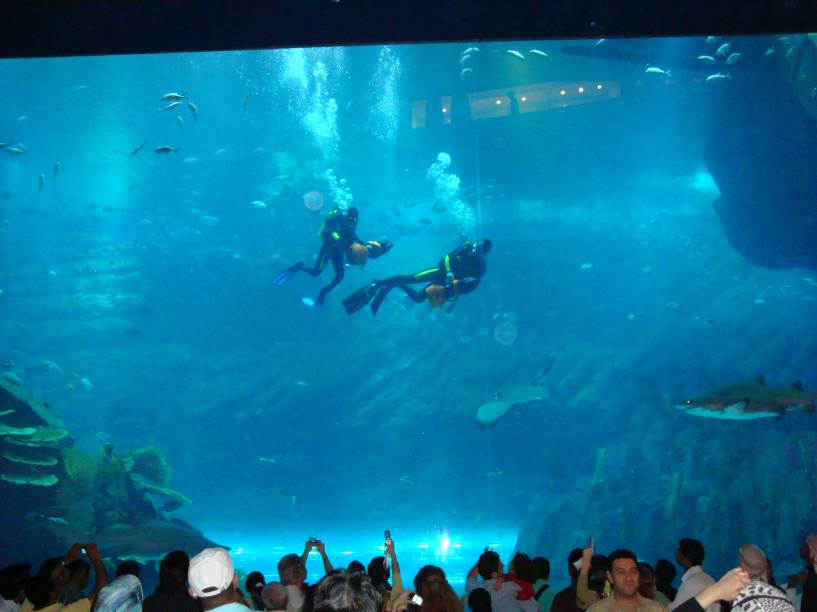 <strong>Aquário de Dubai, Emirados Árabes Unidos</strong>Com recintos com capacidade para 10 milhões de litros d’água, o <a href="http://viajeaqui.abril.com.br/estabelecimentos/emirados-arabes-unidos-dubai-atracao-the-dubai-aquarium-aquario-de-dubai" rel="Aquário de Dubai" target="_blank">Aquário de Dubai</a> impressiona. Peixes de todas as formas e cores, estrelas do mar, águas-vivas e lagostas são alguns dos 33 mil animais que nadam pelos enormes tanques que chegam a 11 metros de altura. É possível fazer passeios de barco ou mergulho com tubarões