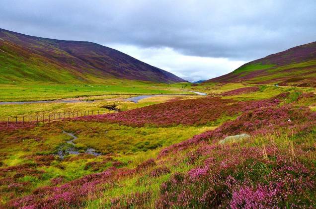 O cenário das <a href="http://viajeaqui.abril.com.br/cidades/reino-unido-highlands" rel="highlands escocesas" target="_blank">highlands escocesas</a>, nas beiras das estradas, é decorado pela relva e por flores silvestres
