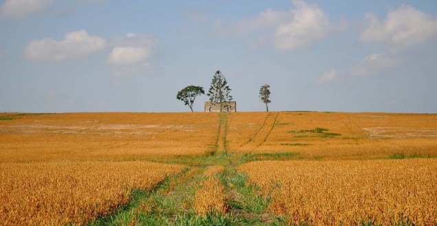 <em>El Camino</em>, de Martín Varela Bavio