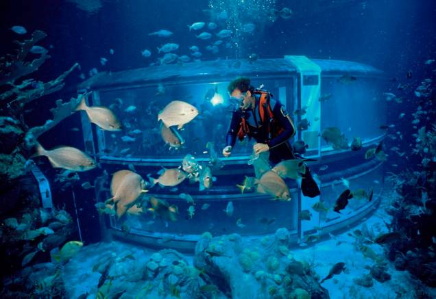 The Sea with Nemo and Friends, uma das atrações do Epcot Center The Sea with Nemo and Friends, uma das atrações do Epcot Center