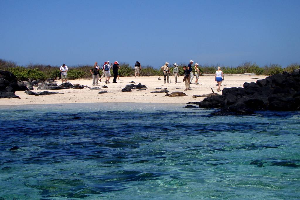 Turistas tiram fotos com leões marinhos em praia de Española, em Galápagos, Equador