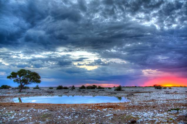 <strong><a href="https://www.etoshanationalpark.org/" target="_blank" rel="noopener">Parque Nacional Etosha</a>, Namíbia</strong> O parque funciona como um safári, cujo principal objetivo é a preservação da vida dos animais selvagens da região. Por aqui, é possível encontrar espécies de mamíferos como elefantes, zebras, rinocerontes e até mesmo leões <em><a href="https://www.booking.com/searchresults.pt-br.html?aid=332455&sid=b6bf542626b1a2c7a9951e44506f270a&sb=1&src=searchresults&src_elem=sb&error_url=https%3A%2F%2Fwww.booking.com%2Fsearchresults.pt-br.html%3Faid%3D332455%3Bsid%3Db6bf542626b1a2c7a9951e44506f270a%3Btmpl%3Dsearchresults%3Bac_click_type%3Dg%3Bclass_interval%3D1%3Bdtdisc%3D0%3Bfrom_sf%3D1%3Bgroup_adults%3D2%3Bgroup_children%3D0%3Binac%3D0%3Bindex_postcard%3D0%3Blabel_click%3Dundef%3Bno_rooms%3D1%3Boffset%3D0%3Bplace_id%3DChIJr3kkwy1BkEYRnX9qzybnZXA%3Bplace_id_lat%3D61.1879953%3Bplace_id_lon%3D26.9023637%3Bpostcard%3D0%3Braw_dest_type%3Dlandmark%3Broom1%3DA%252CA%3Bsb_price_type%3Dtotal%3Bsearch_selected%3D1%3Bshw_aparth%3D1%3Bslp_r_match%3D0%3Bsrc%3Dsearchresults%3Bsrc_elem%3Dsb%3Bsrpvid%3D1f4d81c20e6d0187%3Bss%3DRepovesi%2520National%2520Park%252C%2520Kouvola%252C%2520Finland%3Bss_all%3D0%3Bss_raw%3DRepovesi%2520National%2520Park%3Bssb%3Dempty%3Bsshis%3D0%3Bssne%3DGauja%2520National%2520Park%3Bssne_untouched%3DGauja%2520National%2520Park%3Btop_ufis%3D1%26%3B&ss=Etosha+National+Park%2C+Nam%C3%ADbia&is_ski_area=&ssne=Repovesi+National+Park%2C+Kouvola%2C+Finland&ssne_untouched=Repovesi+National+Park%2C+Kouvola%2C+Finland&checkin_monthday=&checkin_month=&checkin_year=&checkout_monthday=&checkout_month=&checkout_year=&group_adults=2&group_children=0&no_rooms=1&from_sf=1&ss_raw=Etosha+national+park&ac_position=0&ac_langcode=xb&ac_click_type=b&dest_id=14665&dest_type=region&search_pageview_id=1f4d81c20e6d0187&search_selected=true®ion_type=free_region&search_pageview_id=1f4d81c20e6d0187&ac_suggestion_list_length=5&ac_suggestion_theme_list_length=0" target="_blank" rel="noopener">Veja preços de hotéis próximos a Etosha no Booking.com</a></em> <strong><a href="https://www.etoshanationalpark.org/" target="_blank" rel="noopener">Parque Nacional Etosha</a>, Namíbia</strong> O parque funciona como um safári, cujo principal objetivo é a preservação da vida dos animais selvagens da região. Por aqui, é possível encontrar espécies de mamíferos como elefantes, zebras, rinocerontes e até mesmo leões <em><a href="https://www.booking.com/searchresults.pt-br.html?aid=332455&sid=b6bf542626b1a2c7a9951e44506f270a&sb=1&src=searchresults&src_elem=sb&error_url=https%3A%2F%2Fwww.booking.com%2Fsearchresults.pt-br.html%3Faid%3D332455%3Bsid%3Db6bf542626b1a2c7a9951e44506f270a%3Btmpl%3Dsearchresults%3Bac_click_type%3Dg%3Bclass_interval%3D1%3Bdtdisc%3D0%3Bfrom_sf%3D1%3Bgroup_adults%3D2%3Bgroup_children%3D0%3Binac%3D0%3Bindex_postcard%3D0%3Blabel_click%3Dundef%3Bno_rooms%3D1%3Boffset%3D0%3Bplace_id%3DChIJr3kkwy1BkEYRnX9qzybnZXA%3Bplace_id_lat%3D61.1879953%3Bplace_id_lon%3D26.9023637%3Bpostcard%3D0%3Braw_dest_type%3Dlandmark%3Broom1%3DA%252CA%3Bsb_price_type%3Dtotal%3Bsearch_selected%3D1%3Bshw_aparth%3D1%3Bslp_r_match%3D0%3Bsrc%3Dsearchresults%3Bsrc_elem%3Dsb%3Bsrpvid%3D1f4d81c20e6d0187%3Bss%3DRepovesi%2520National%2520Park%252C%2520Kouvola%252C%2520Finland%3Bss_all%3D0%3Bss_raw%3DRepovesi%2520National%2520Park%3Bssb%3Dempty%3Bsshis%3D0%3Bssne%3DGauja%2520National%2520Park%3Bssne_untouched%3DGauja%2520National%2520Park%3Btop_ufis%3D1%26%3B&ss=Etosha+National+Park%2C+Nam%C3%ADbia&is_ski_area=&ssne=Repovesi+National+Park%2C+Kouvola%2C+Finland&ssne_untouched=Repovesi+National+Park%2C+Kouvola%2C+Finland&checkin_monthday=&checkin_month=&checkin_year=&checkout_monthday=&checkout_month=&checkout_year=&group_adults=2&group_children=0&no_rooms=1&from_sf=1&ss_raw=Etosha+national+park&ac_position=0&ac_langcode=xb&ac_click_type=b&dest_id=14665&dest_type=region&search_pageview_id=1f4d81c20e6d0187&search_selected=true®ion_type=free_region&search_pageview_id=1f4d81c20e6d0187&ac_suggestion_list_length=5&ac_suggestion_theme_list_length=0" target="_blank" rel="noopener">Veja preços de hotéis próximos a Etosha no Booking.com</a></em>