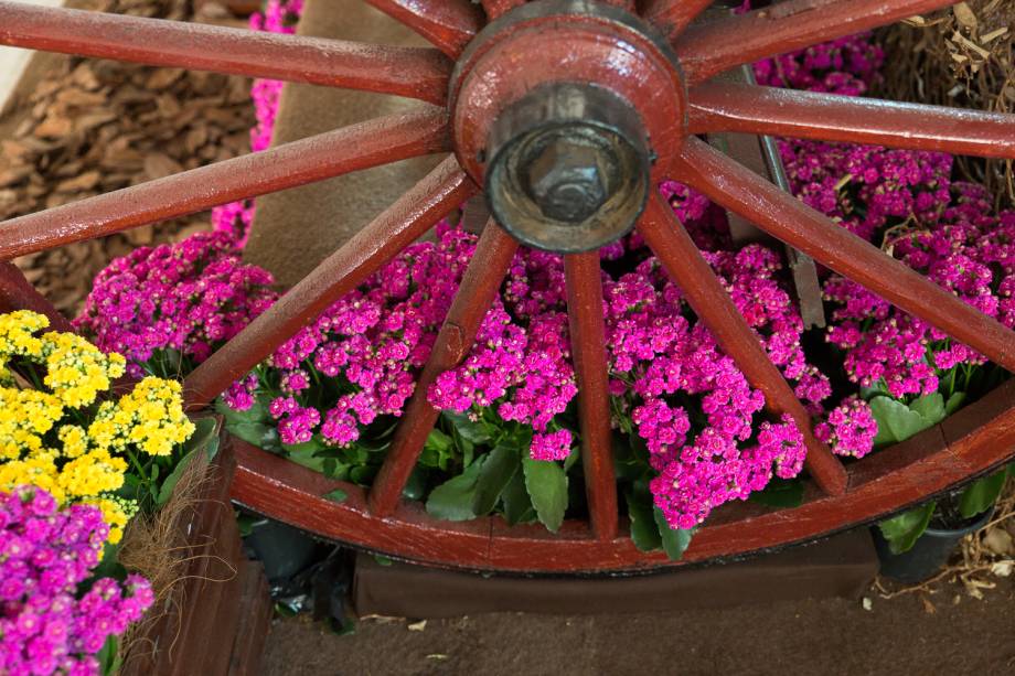 A atual edição do evento marca o retorno de flores de jardim como tendência do setor