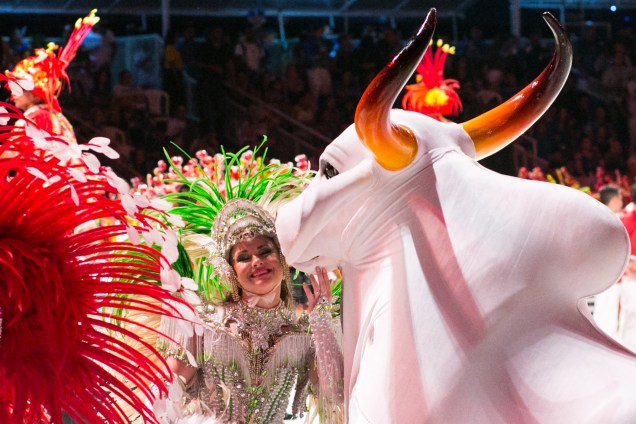 Na foto do festival de 2015, o boi Garantido desfila no bumbódromo de Parintins
