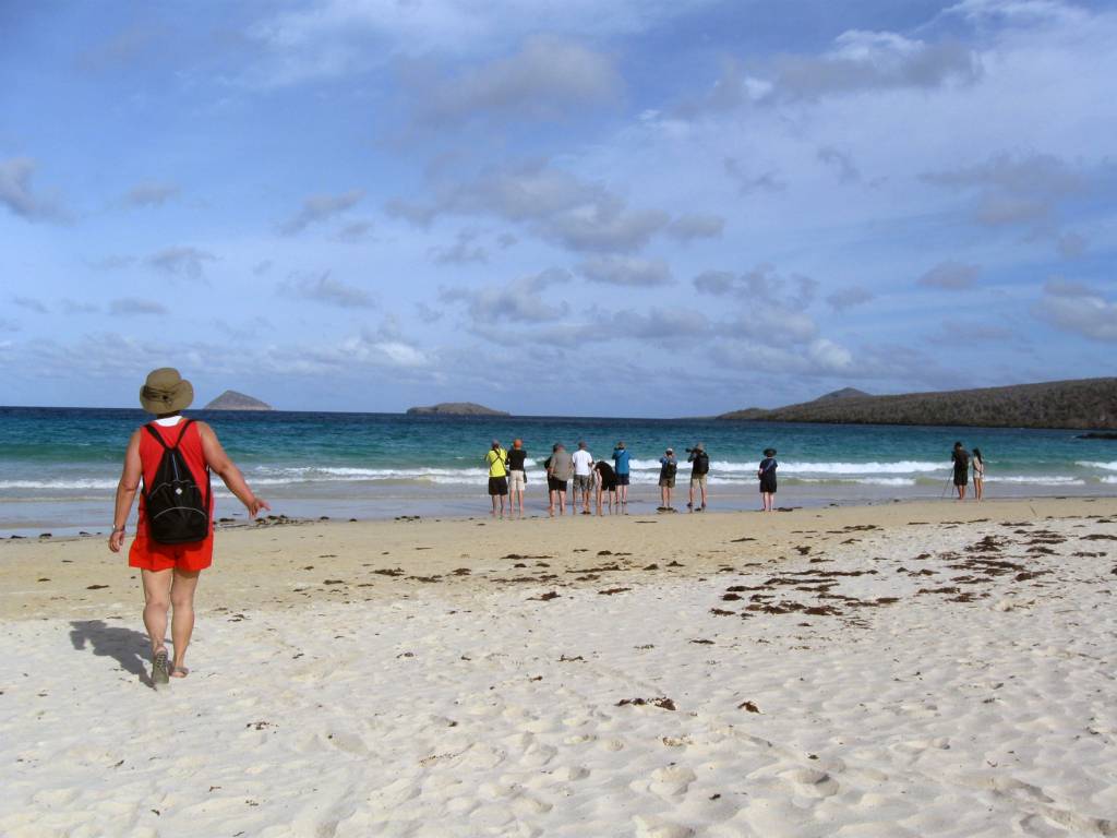 Turistas observam tartarugas marinhas em praia de Floreana, em Galápagos (Equador)