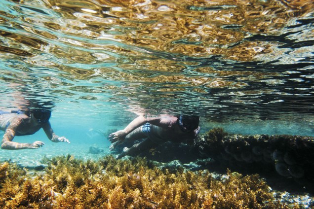 Fernando de Noronha é o melhor ponto de mergulho do Brasil, com águas transparentes - a visibilidade chega a 50 m - e temperatura média de 27ºC