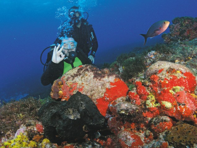 Turista durante batismo de mergulho em Fernando de Noronha, Pernambuco