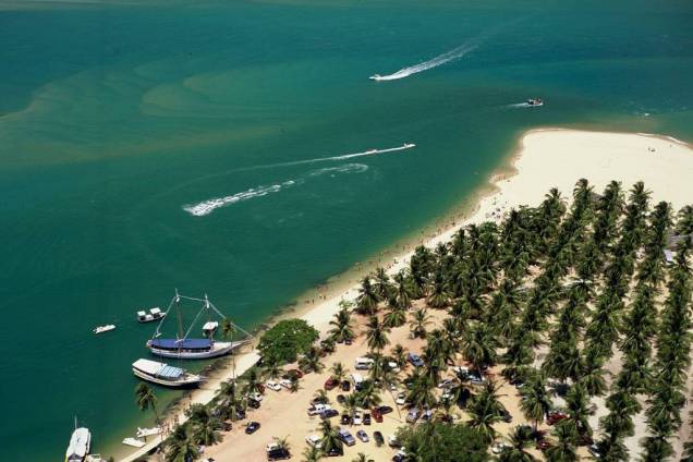 Repleta de coqueirais, a Praia do Gunga lembra uma península, com mar de um lado e a Lagoa do Roteiro do outro
