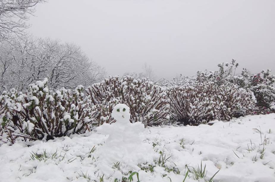 Neve no Château Lacave