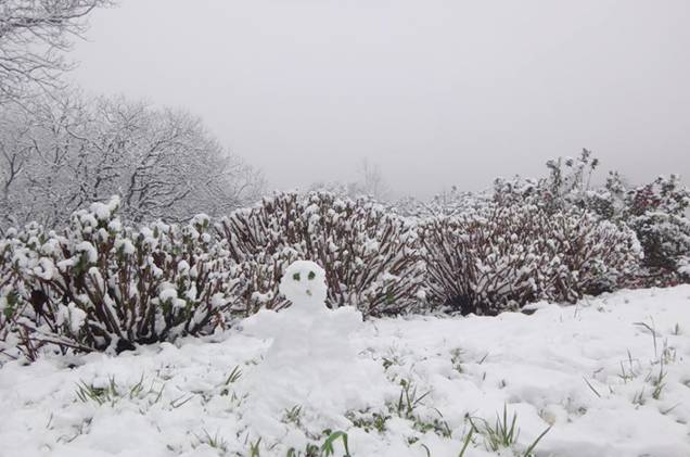 Neve no Château Lacave Neve no Château Lacave