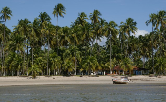 Bela Praia dos Carneiros, em Pernambuco