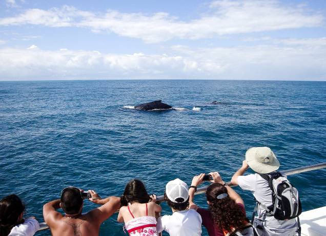 Entre os passeios, está a <a href="http://viajeaqui.abril.com.br/estabelecimentos/br-ba-porto-seguro-atracao-passeio-de-barco-para-observacao-de-baleias-jubarte" rel="observação de baleias-jubarte" target="_blank">observação de baleias-jubarte</a>
