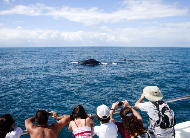 Entre os passeios, está a <a href="https://viajeaqui.abril.com.br/estabelecimentos/br-ba-porto-seguro-atracao-passeio-de-barco-para-observacao-de-baleias-jubarte" rel="observação de baleias-jubarte" target="_blank">observação de baleias-jubarte</a>