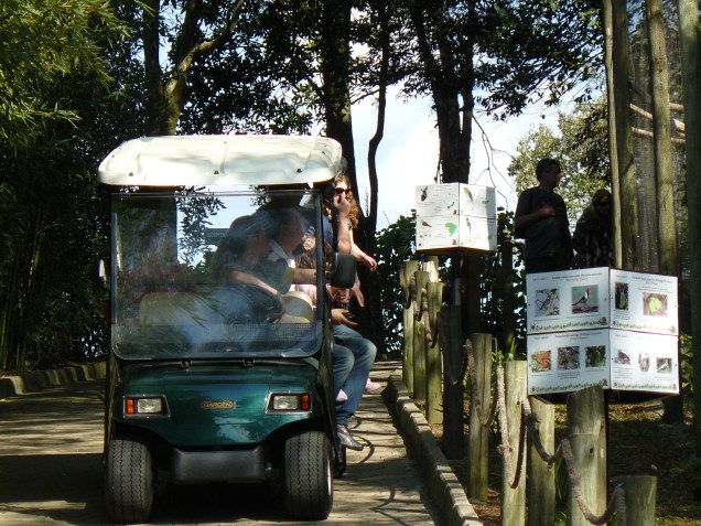 Carrinho elétrico no Gramado Zoo, Gramado (RS)