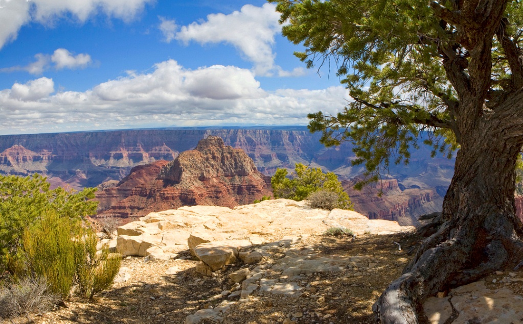 Grand Canyon North Rim