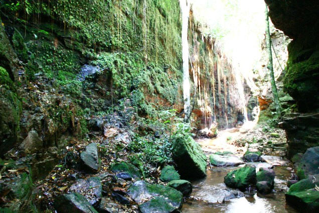 Localizada na região do Jalapão, no Tocantins, a Gruta de Suçuapara possui 60 metros de comprimento e 15 metros de altura aberta pela água, em rocha arenítica, iluminada pelo sol 