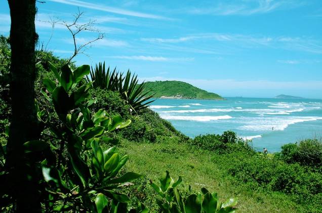 <strong>5. Praia do Luz, Imbituba</strong> Ao norte da praia, um morro a separa da <a href="https://viagemeturismo.abril.com.br/cidades/praia-do-rosa-7/" target="_blank" rel="noopener">Praia do Rosa</a>. Se quiser ir a pé, prepare a mochila, o protetor solar e o tênis: a caminhada dura 1h30. <strong></strong><a href="https://www.booking.com/searchresults.pt-br.html?aid=332455&lang=pt-br&sid=eedbe6de09e709d664615ac6f1b39a5d&sb=1&src=index&src_elem=sb&error_url=https%3A%2F%2Fwww.booking.com%2Findex.pt-br.html%3Faid%3D332455%3Bsid%3Deedbe6de09e709d664615ac6f1b39a5d%3Bsb_price_type%3Dtotal%26%3B&ss=Praia+da+Luz%2C+Praia+do+Rosa%2C+Santa+Catarina%2C+Brasil&checkin_monthday=&checkin_month=&checkin_year=&checkout_monthday=&checkout_month=&checkout_year=&no_rooms=1&group_adults=2&group_children=0&from_sf=1&ss_raw=Praia+do+Luz+&ac_position=0&ac_langcode=xb&dest_id=256036&dest_type=landmark&search_pageview_id=e2116e3db8050545&search_selected=true&map=1#map_opened" target="_blank" rel="noopener"><em>Busque hospedagens na Praia do Luz no Booking.com</em></a> <strong>5. Praia do Luz, Imbituba</strong> Ao norte da praia, um morro a separa da <a href="https://viagemeturismo.abril.com.br/cidades/praia-do-rosa-7/" target="_blank" rel="noopener">Praia do Rosa</a>. Se quiser ir a pé, prepare a mochila, o protetor solar e o tênis: a caminhada dura 1h30. <strong></strong><a href="https://www.booking.com/searchresults.pt-br.html?aid=332455&lang=pt-br&sid=eedbe6de09e709d664615ac6f1b39a5d&sb=1&src=index&src_elem=sb&error_url=https%3A%2F%2Fwww.booking.com%2Findex.pt-br.html%3Faid%3D332455%3Bsid%3Deedbe6de09e709d664615ac6f1b39a5d%3Bsb_price_type%3Dtotal%26%3B&ss=Praia+da+Luz%2C+Praia+do+Rosa%2C+Santa+Catarina%2C+Brasil&checkin_monthday=&checkin_month=&checkin_year=&checkout_monthday=&checkout_month=&checkout_year=&no_rooms=1&group_adults=2&group_children=0&from_sf=1&ss_raw=Praia+do+Luz+&ac_position=0&ac_langcode=xb&dest_id=256036&dest_type=landmark&search_pageview_id=e2116e3db8050545&search_selected=true&map=1#map_opened" target="_blank" rel="noopener"><em>Busque hospedagens na Praia do Luz no Booking.com</em></a>
