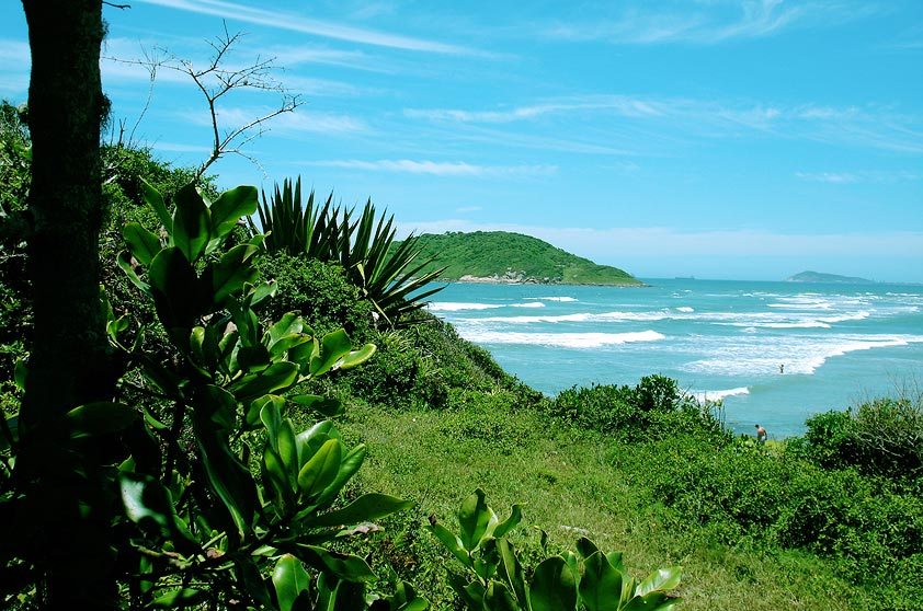 <strong>5. Praia do Luz, Imbituba</strong> Ao norte da praia, um morro a separa da <a href="https://viagemeturismo.abril.com.br/cidades/praia-do-rosa-7/" target="_blank" rel="noopener">Praia do Rosa</a>. Se quiser ir a pé, prepare a mochila, o protetor solar e o tênis: a caminhada dura 1h30. <strong></strong><a href="https://www.booking.com/searchresults.pt-br.html?aid=332455&lang=pt-br&sid=eedbe6de09e709d664615ac6f1b39a5d&sb=1&src=index&src_elem=sb&error_url=https%3A%2F%2Fwww.booking.com%2Findex.pt-br.html%3Faid%3D332455%3Bsid%3Deedbe6de09e709d664615ac6f1b39a5d%3Bsb_price_type%3Dtotal%26%3B&ss=Praia+da+Luz%2C+Praia+do+Rosa%2C+Santa+Catarina%2C+Brasil&checkin_monthday=&checkin_month=&checkin_year=&checkout_monthday=&checkout_month=&checkout_year=&no_rooms=1&group_adults=2&group_children=0&from_sf=1&ss_raw=Praia+do+Luz+&ac_position=0&ac_langcode=xb&dest_id=256036&dest_type=landmark&search_pageview_id=e2116e3db8050545&search_selected=true&map=1#map_opened" target="_blank" rel="noopener"><em>Busque hospedagens na Praia do Luz no Booking.com</em></a>