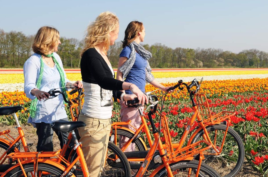 Durante o passeio ao parque, o visitante não vê apenas as famosas tulipas holandesas, mas também flores de várias outras espécies