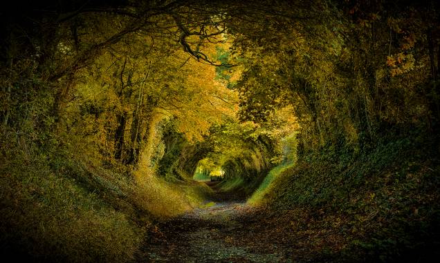 <strong>8. Túnel de Halnaker, West Sussex, <a href="http://viajeaqui.abril.com.br/paises/reino-unido?iframe=true" rel="Reino Unido" target="_self">Reino Unido</a></strong>                        A aldeia inglesa que abriga essa pequena floresta já é um charme só, com paisagens bucólicas e um moinho de vento. No entanto, é nesse túnel que se concentra a fama do lugar, com um cenário tão bonito quanto romântico. Para alguns, a impressão que se dá ao observá-lo é a de que um príncipe vai surgir em um cavalo branco a qualquer momento. Para outros, o lugar seria perfeito para abrigar as aventuras de hobbits como Bilbo Bolseiro, que poderia vir seguido por anões montados em pôneis. Seja qual for a escolha, não dá pra negar que a visão é bem mágica.