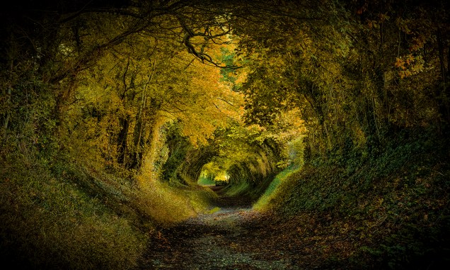 <strong>8. Túnel de Halnaker, West Sussex, <a href="https://viajeaqui.abril.com.br/paises/reino-unido?iframe=true" rel="Reino Unido" target="_self">Reino Unido</a></strong>                        A aldeia inglesa que abriga essa pequena floresta já é um charme só, com paisagens bucólicas e um moinho de vento. No entanto, é nesse túnel que se concentra a fama do lugar, com um cenário tão bonito quanto romântico. Para alguns, a impressão que se dá ao observá-lo é a de que um príncipe vai surgir em um cavalo branco a qualquer momento. Para outros, o lugar seria perfeito para abrigar as aventuras de hobbits como Bilbo Bolseiro, que poderia vir seguido por anões montados em pôneis. Seja qual for a escolha, não dá pra negar que a visão é bem mágica.