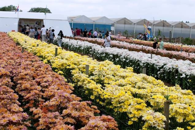 Visitantes nos campos de flores da Expoflora, em Holambra (SP)