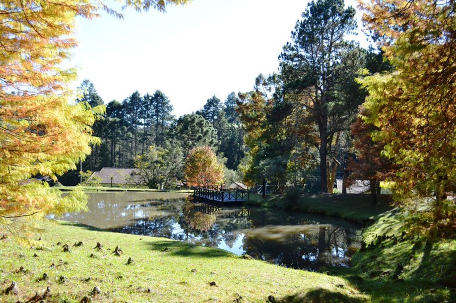 Paisagem do Parque Estadual de Campos do Jordão, conhecido como Horto Florestal