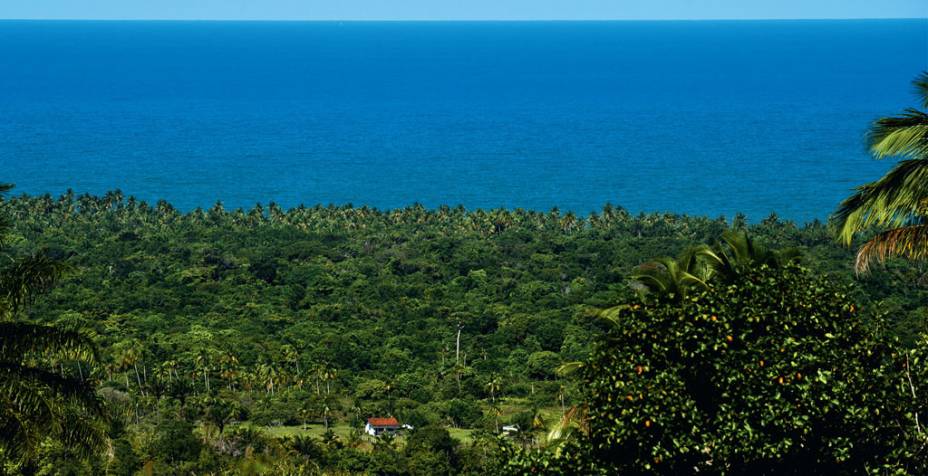 Litoral entre Ilhéus e Itacaré, ponto perfeito para o plantio de cacau