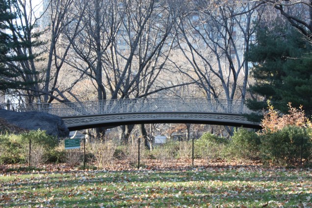 O Central Park, símbolo de <a href="https://viajeaqui.abril.com.br/cidades/estados-unidos-nova-york" rel="Nova York" target="_blank">Nova York</a>, ocupa o equivalente a 50 quadras de extensão, entre a região de Midtown e o Harlem. Símbolo do lazer gratuito nova-iorquino, o parque recebe 25 milhões de visitantes por ano