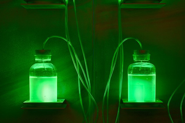 O museu expõe amostras para explicar como os excrementos (tanto de animais como de humanos) são utilizados para gerar energia O museu expõe amostras para explicar como os excrementos (tanto de animais como de humanos) são utilizados para gerar energia