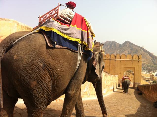 <strong>6. Rajastão</strong>            Localizado próximo ao deserto,  o estado do Rajastão  é o estereótipo da Índia. Encantadores de serpentes, elefantes e camelos são figuras comuns nas ruas das cidades de <a href="http://viajeaqui.abril.com.br/cidades/india-jaipur" rel="Jaipur" target="_self">Jaipur</a>, Jaisalmer e Johdpur. 