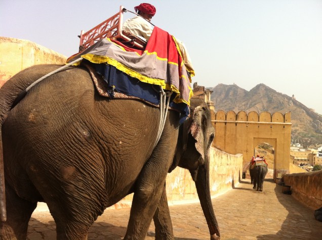 <strong>6. Rajastão</strong>            Localizado próximo ao deserto,  o estado do Rajastão  é o estereótipo da Índia. Encantadores de serpentes, elefantes e camelos são figuras comuns nas ruas das cidades de <a href="https://viajeaqui.abril.com.br/cidades/india-jaipur" rel="Jaipur" target="_self">Jaipur</a>, Jaisalmer e Johdpur. 