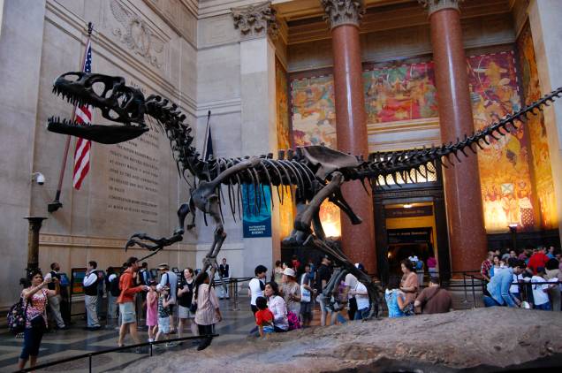 O Museu de História Natural costuma ser uma das atrações mais disputadas em Nova York por famílias com crianças. Esqueletos de dinossauros e animais empalhados estão entre os destaques