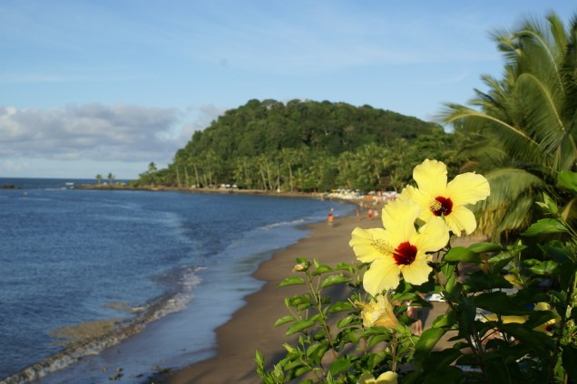Flores na Praia São José, cujo acesso é fechado por um condomínio residencial e dois resorts